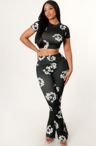 DT two piece